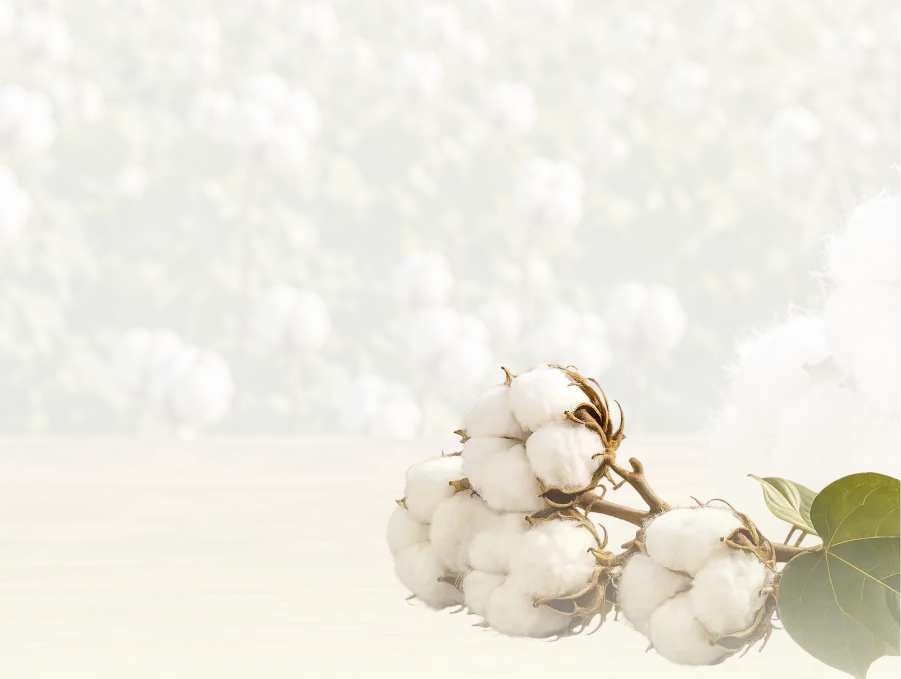 best textile supplier ludhiana